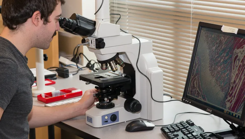 A student looks into a high-tech microscope at the UNE COBRE Histology and Imaging Core. Cells are displayed on a computer screen.